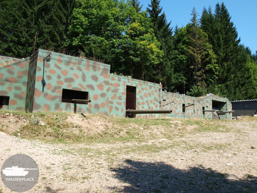 P8081542