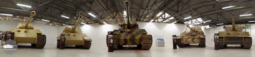 Tiger collection panorama