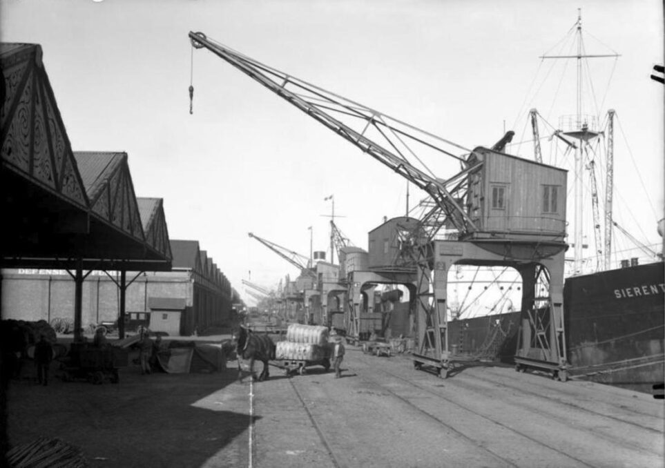Quay 107 Sheds